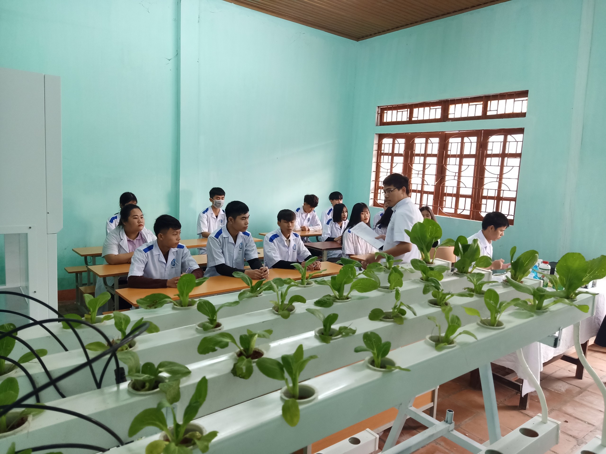 Kỹ thuật rau, hoa công nghệ cao